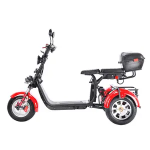 Scooter électrique pliable de handicap de moteur de tricycle direct d'usine