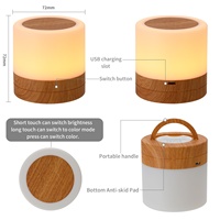 Nouvelle télécommande de bureau tactile moderne LED Veilleuse à grain de bois colorée Modèle chaud pour chambre à coucher Atmosphère Pat