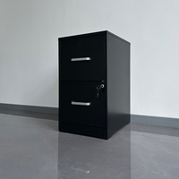 Armoire de classement en acier à 2 tiroirs verrouillables, revêtement poudré résistant aux rayures, pour le rangement de documents de bureau et scolaires