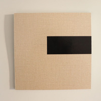 Panneau mural en PVC, placage bois, pour la décoration intérieure contemporaine et la décoration de la maison