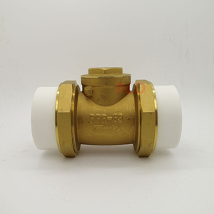 Vanne de retenue en laiton PPR DN20 DN25 DN32 avec joint en silicone, vanne unidirectionnelle pour système d'eau - Product Image 3