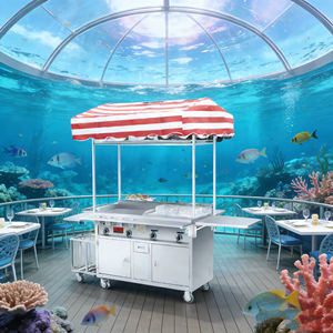 4 Wheel Mobile Stainless Steel Snack <b>Food</b> Cart Convertible Rust Resistant Built-In <b>Heater</b> Grill Easy Assembly for Outdoor Use - Product Image 5