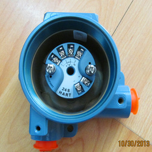 Rose Mount Customizable <b>Temperature</b> 644 OEM Support - Product Image 4