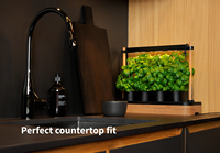 Kit de jardinage hydroponique solaire personnalisable et économe en énergie, plateau compact pour micro-légumes avec éclairage LED et cadre en bambou pour usage domestique