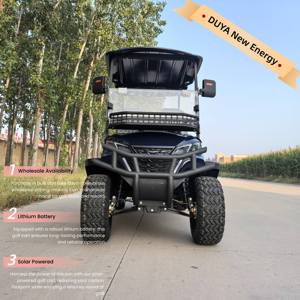 Voiturette de golf électrique 72V/48V avec batterie au lithium, suspension indépendante, 2 places, vitesse 30-50 km/h, autonomie 90 km, contrôleur Imbor 3528, 510 kg - Product Image 2