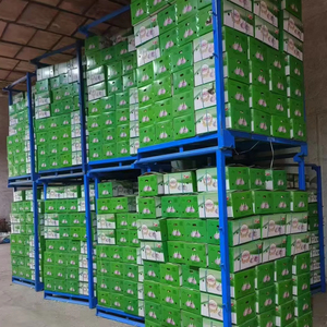 MEILLEUR PRIX - Ail frais biologique naturel blanc et blanc pur de qualité standard européenne en gros, provenant de Chine - Product Image 2