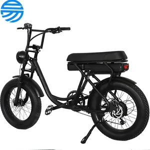 OEM wholesale Aluminum alloy frame 20 inch fat tyre electric bicycle 500W 7 speed E bike for women