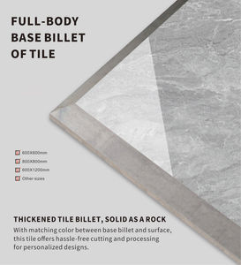 Dương tối màu xám sứ sàn gạch kích thước lớn hình đặc biệt không trượt chống axit hiện đại nội thất tùy chỉnh bán buôn phòng sử dụng - Product Image 4