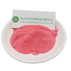 High Quality Organic Strawberry Freeze Dried Powder 100% Strawberry Juice Powder