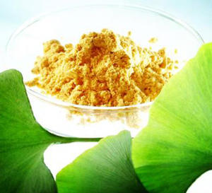 유기농 은행 나무 <span class=keywords><strong>biloba</strong></span> 추출물 24% 플라보노이드 은행나무 <span class=keywords><strong>biloba</strong></span> - Product Image 2