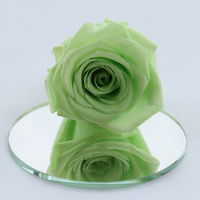 Grosir 8 Pcs/kotak Mawar Abadi Sentuhan Asli Bunga Kering Mawar Awet Ukuran 4-5cm Grade B untuk Hari Valentine & Natal