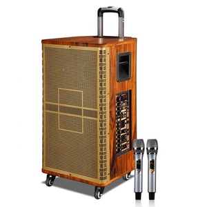 Amplificador de gran potencia de 120W, 12 pulgadas con batería de 12V/12Ah, recargable, TWS, altavoz profesional con carrito de madera para exteriores - Product Image 2