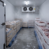 Chambre froide pour le stockage de viande congelée destinée aux abattoirs et aux usines de transformation de viande bovine et de volaille