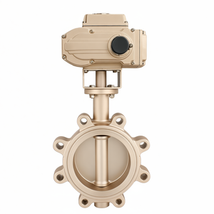 Vente de liquidation B2B Covna, VENTE FLASH, vanne papillon électrique motorisée en fonte ductile AC220V DN50, vanne électrique à commande électrique, PTFE - Product Image 2