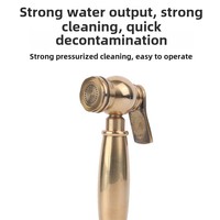 Évier de cuisine pulvérisateur doré à main pistolet de douche à haute pression robinet avec compagnon de toilette chasse d'eau buse de salle de bain domestique