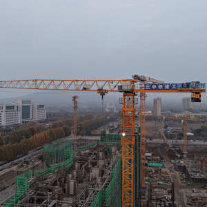 Grúa Torre de Plataforma Plana Dahan de Alto Estándar QTZ125(6015) Construcción de Primera Calidad Sin Plataforma de 10 Toneladas para Proyectos de Construcción - Product Image 5