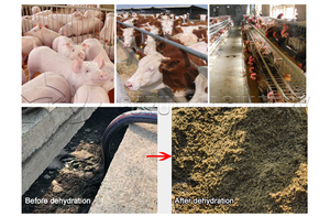 Machine de déshydratation des excréments de volailles, bovins, porcins, poulets, machine de déshydratation des fèces animales, presse à vis, <span class=keywords><strong>séparateur</strong></span> de liquides et de solides pour fumier et <span class=keywords><strong>urine</strong></span> - Product Image 6