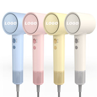 Meilleur sèche-cheveux de voyage portable professionnel 2050 3000 Watt, mini concentrateur compact pour usage domestique et hôtelier
