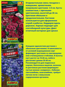 8 Kit <span class=keywords><strong>de</strong></span> plantes <span class=keywords><strong>de</strong></span> paquets <span class=keywords><strong>de</strong></span> truies <span class=keywords><strong>de</strong></span> <span class=keywords><strong>jardin</strong></span> <span class=keywords><strong>de</strong></span> <span class=keywords><strong>fleurs</strong></span> écologiques <span class=keywords><strong>pour</strong></span> les truies <span class=keywords><strong>de</strong></span> <span class=keywords><strong>bordures</strong></span> <span class=keywords><strong>de</strong></span> <span class=keywords><strong>jardin</strong></span> <span class=keywords><strong>de</strong></span> rocaille <span class=keywords><strong>pour</strong></span> la plantation ou les suspensions <span class=keywords><strong>de</strong></span> sols <span class=keywords><strong>fleurs</strong></span> d'intérieur - Product Image 2