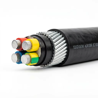 Kabel Daya Multi-Core VLV32 0.6/1kV 4 Inti 50mm2 Aluminium PVC Baja Berlapis SWA CN IEC