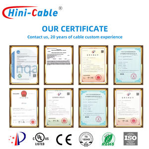 可定制的 2 针汽车用 PVC 铜线束 HINICABLE AWH-001 提供特定应用服务 - Product Image 5