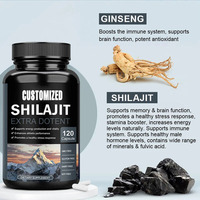 Meilleur prix Complément alimentaire santé Capsules de Shilajit avec acide fulvique Soutien immunitaire et gestion de l'énergie pour les hommes adultes