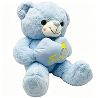 Ours en peluche bleu avec motif nuage ensoleillé et arc-en-ciel brodé, éclairage LED rechargeable par USB, 51cm-99cm, animal en peluche unisexe
