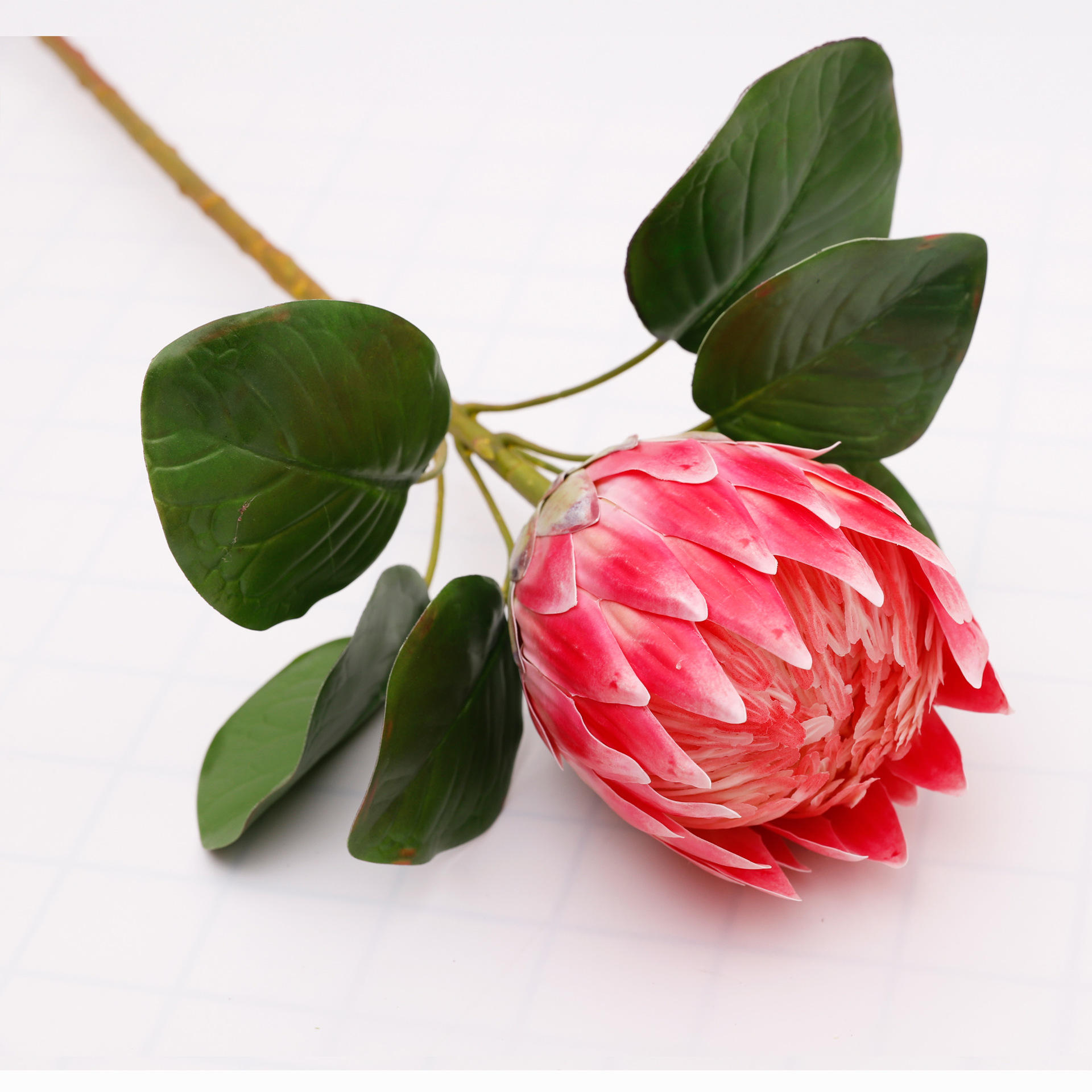 สไตล์1-สีแดง