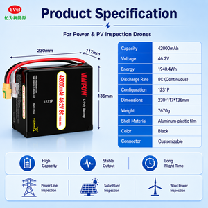 Batterie intelligente BMS 42000mAh 46.2V 8C avec protection contre les surcharges pour flotte de drones, prise personnalisée OEM - Product Image 5