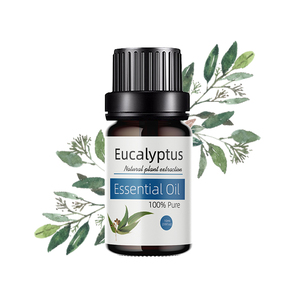 Großhandel OEM Pure Eucalyptus ätherisches Öl 100% natürlich für Aroma therapie Diffusor - Product Image 1