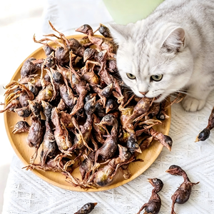 Offre Spéciale FurZo – Snacks <span class=keywords><strong>de</strong></span> <span class=keywords><strong>Caille</strong></span> Lyophilisés Riches en Protéines, Alimentation Animale Non Biologique <span class=keywords><strong>de</strong></span> Haute Qualité, Directement <span class=keywords><strong>de</strong></span> <span class=keywords><strong>Chine</strong></span>, Échantillon Gratuit Disponible - Product Image 1