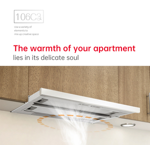 Prix usine En Acier Inoxydable 600mm <span class=keywords><strong>Hotte</strong></span> <span class=keywords><strong>De</strong></span> <span class=keywords><strong>Cuisine</strong></span> Cuisinière Cheminée <span class=keywords><strong>Hotte</strong></span> avec Pull Air Aspiration Maison Construit Extracteur Armoire - Product Image 6