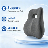 YUE RISE Coussin de soutien lombaire multifonctionnel à récupération lente, indispensable pour les femmes enceintes, les employés de bureau et les conducteurs