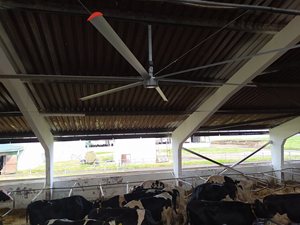 Ventilateur de plafond en alliage d'aluminium et de magnésium, grande capacité, basse vitesse, prix usine, 220V/380V, garantie 3 ans, idéal pour l'industrie laitière - Product Image 2