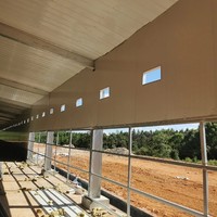Bâtiment d'élevage avicole automatique préfabriqué en acier galvanisé pour poulets de chair – Équipement de construction pour élevages avicoles