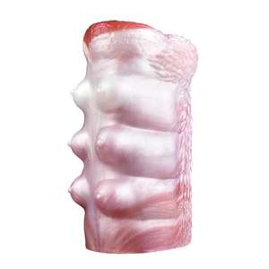 Adam için hayvan seks oyuncak erkek Masturbator cep kedi Masturbating - Product Image 5