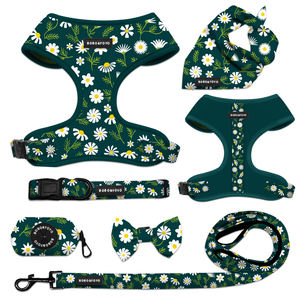 Conjunto de arnés de verano para perros Nuevo diseño Logotipo personalizado Personalizado Sin tirones Arnés de neopreno para perros Correa Conjunto de collar de plomo - Product Image 1