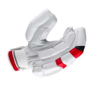 Gants de cricket en mousse haute densité à double couture avec logo personnalisé, fermeture auto-agrippante, vente en gros OEM - Product Image 2