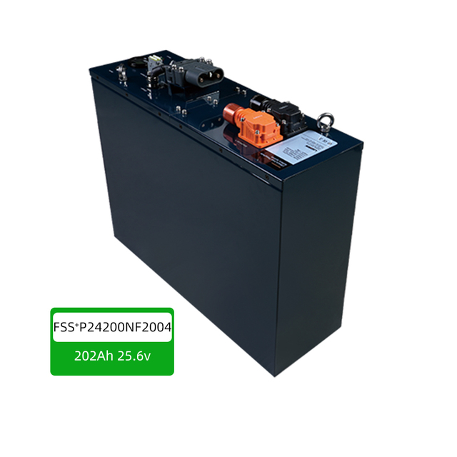 Electric Forklift LFP Battery Pack Multiple Capacities Low Voltage 25.6V for AGV Mine Cart OEM Lithium Iron Phosphate Lishen 202