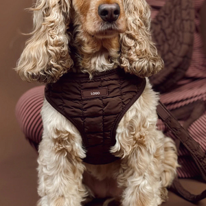 Personalisiertes, verstellbares Luxus-Hundegeschirr-Set aus Neopren mit Leine – umweltfreundlich für den Außenbereich - Product Image 3