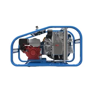 300bar 5.5kw pcp electric gasoline driven diving scuba air compressor for sale