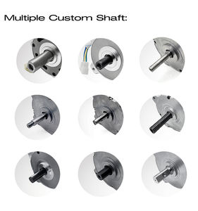 Бесщеточный двигатель постоянного тока 36 В/48 В 750 Вт-1200 Вт с постоянным магнитом, регулируемая скорость и вал для газонокосилки/электровелосипеда/мотоцикла - Product Image 5