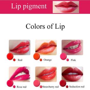 Pigmento <span class=keywords><strong>de</strong></span> Maquillaje Permanente <span class=keywords><strong>para</strong></span> Cejas, 22 Colores, 8 ml, Marrón Rojizo, Pigmento <span class=keywords><strong>para</strong></span> Microblading, <span class=keywords><strong>Tinta</strong></span> PMU <span class=keywords><strong>de</strong></span> Marca Privada <span class=keywords><strong>para</strong></span> Tatuaje <span class=keywords><strong>de</strong></span> Cejas - Product Image 5