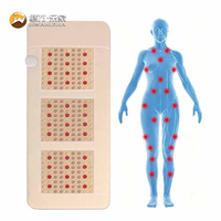 Jiwan Lejia Vente en gros de surmatelas chauffant personnalisé en jade et tourmaline, tapis de massage électrique, suite de bien-être VIP Photon