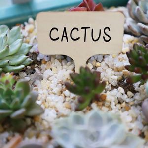 Etiquetas de Madera Personalizadas para Plantas, Mini Marcadores para Suculentas, Plantas en Maceta y Flores - Ideales como Señales de Jardín - Product Image 3