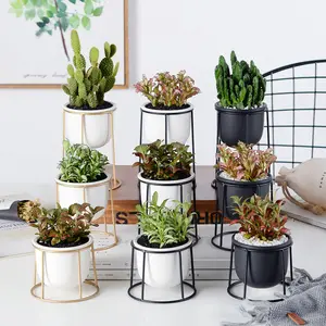 Groothandel Nordic Minimalistische Desktop Kleine Keramische Vetplant Pot Keramische Potten Voor Kamerplanten