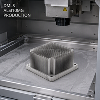 Structure de dissipateur thermique en aluminium AlSi10Mg imprimée en 3D DMLS, sintering direct au laser de métal, refroidissement de serveur, OEM personnalisé