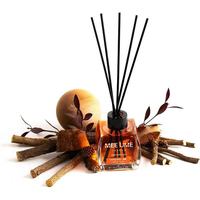 Diffuseur de parfum d'ambiance à base d'huiles essentielles 100 ml pour la maison, bouteille de diffuseur à roseaux, longue durée, naturel, sans flamme, désodorisant d'ambiance