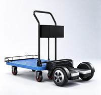 Chariot à plateforme électrique avec batterie au lithium, capacité de 200 kg, pliable, construction en acier inoxydable et alliage d'aluminium, moteur 900 W, OEM