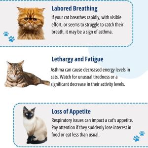 FIV Ab/FELV Ag/Giardiaコンボテスト - Product Image 3